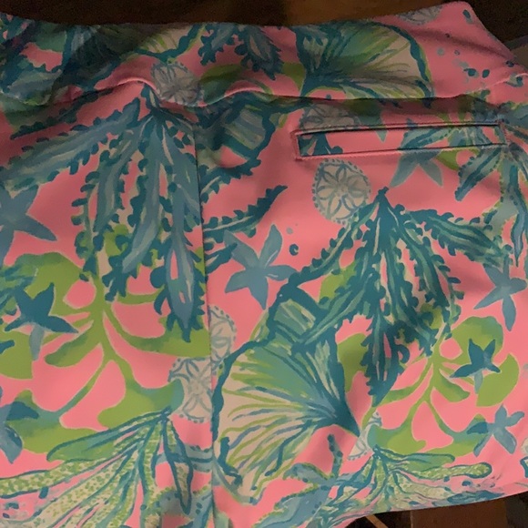 COPY - Lilly Pulitzer corso pants size 16 - Picture 7 of 9